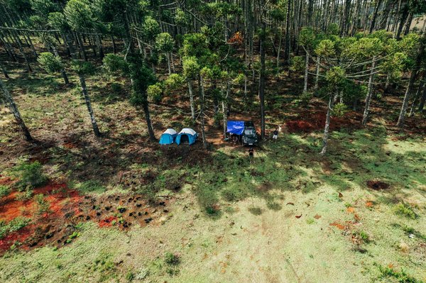 Explore the grandeur of roman legacy: expert-led tours of the uk's iconic ancient ruins