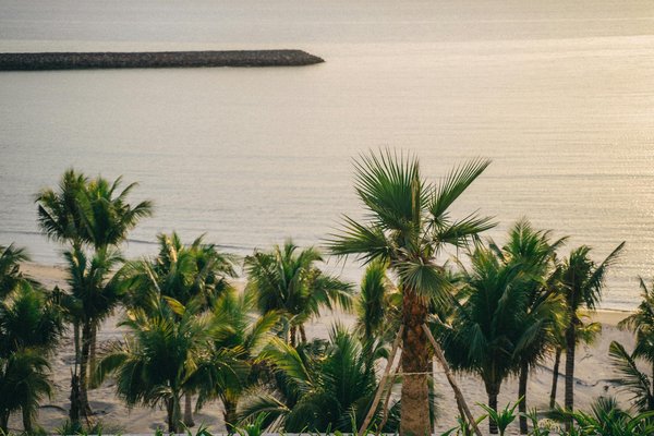 Discover prime birdwatching destinations in norfolk broads national park: the ultimate guide for wildlife lovers